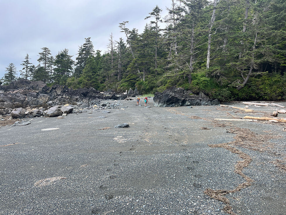 Beach on the North Coast Trail