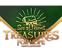 SoT_ToH_StreamAssets_HeaderBanner.png