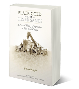 SNYDER_Black Gold Silver Sands 3D cover.