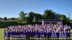 Freestyle swimming essay picture