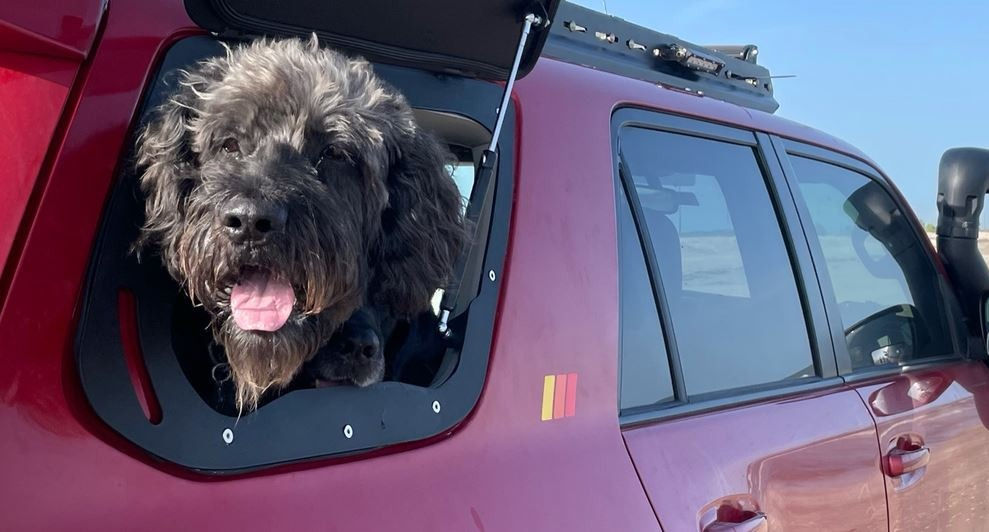 Toyota 4Runner 10-23 Passengers Side Rear Window Gullwing