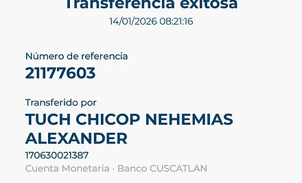 Ejemplo Boleta.jpg