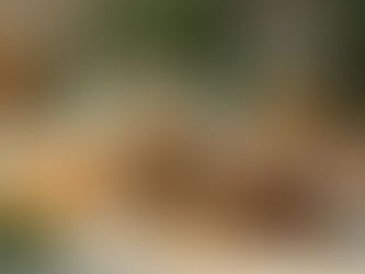 Why Simret Beauty is Perfect for Your Skin: Embracing Vegan Beauty Brand Benefits