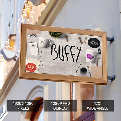 Sungale 21.5-inch Full HD IPS anti-glare digital signage display