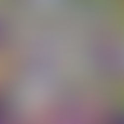 New Orleans Designed Patches