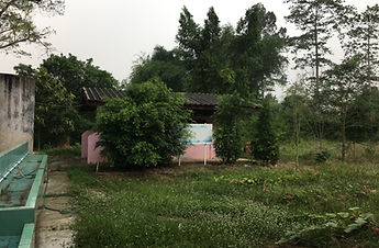 96225A85-027E-47CD-AF08-F6A0D96DB9FC.jpg