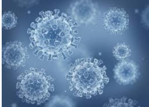 Swab Stories: Unpacking COVID-19 PCR Testing