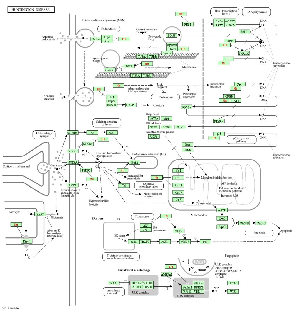 Biological Network Module Biological Networks