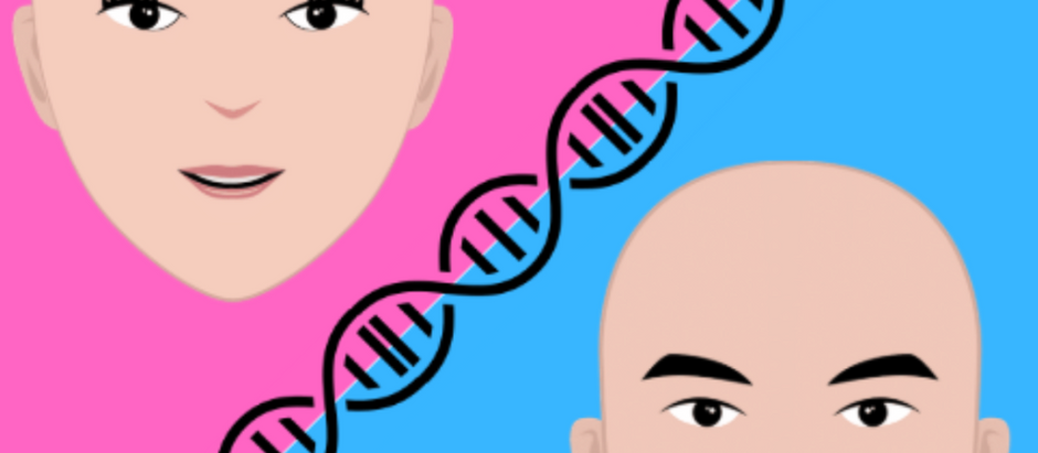 The Thinning Gender Divide: The Genetic Basis of Male and Female Pattern Baldness