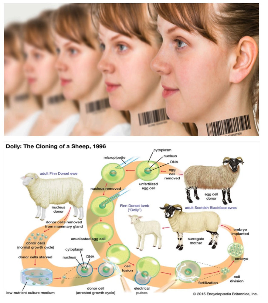 Human Cloning Example Cloning