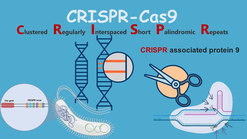 CRISPR: Revolutionary or not?