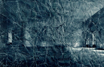 The Empty Room_cut.jpg