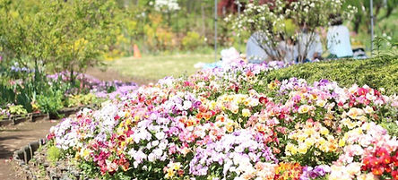 1635575484060-4_edited.jpg
