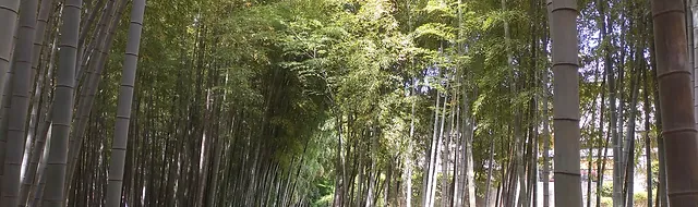 事務局からのお知らせ 東久留米市 くるくるチャンネル Kurukuru Ch Com