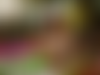 The Lifestyle Is More Than Just Sex