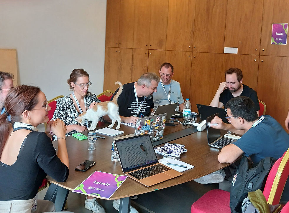 Coaching Project Executives to Run a Better Owner Interview