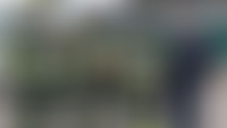 Erfolgreiche Verkehrsreglerausbildung