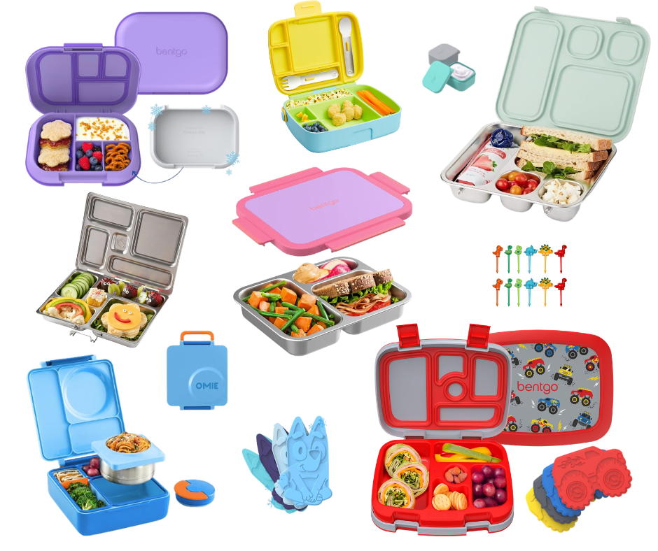 top picks for lunch boxes across multiple categories 