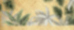 Tropical background.jpg