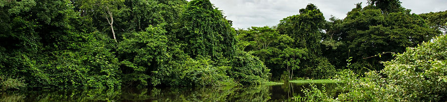 _IMG8752_edited.jpg
