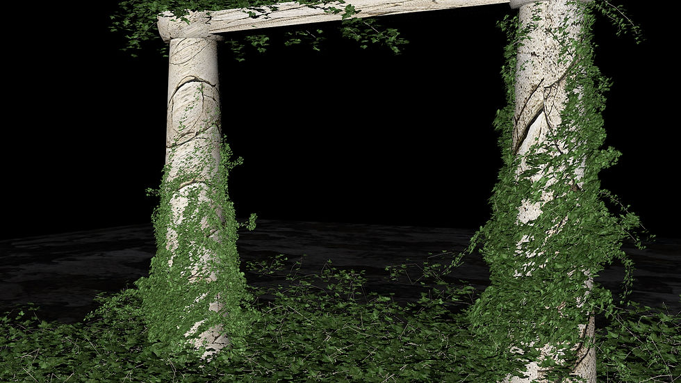 ivy grower teste2.jpg