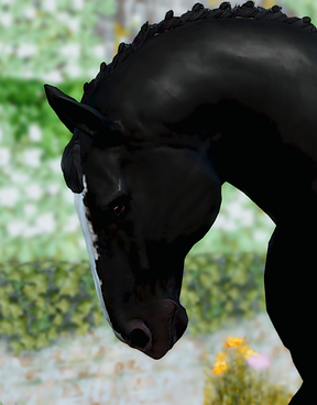WaltzFace.png