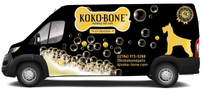 koko-bone mobile.webp