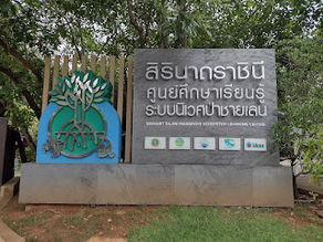 Mangroves, mudskippers, Cha-Am, Khao Thakiab, Sam Roi Yot, Pak Nam Pran en niets doen.