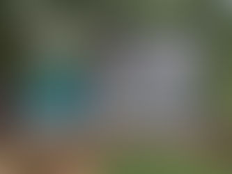 Mangroves, mudskippers, Cha-Am, Khao Thakiab, Sam Roi Yot, Pak Nam Pran en niets doen.