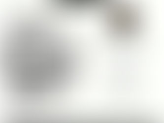 Planting Seeds, Living Hope: A Reflection for the Season