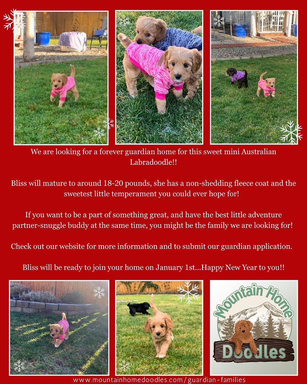 Mountain Home Doodle         "Guardian Partnership Program"