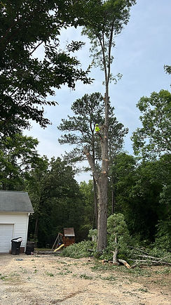 IMG_20240217_003248.jpg