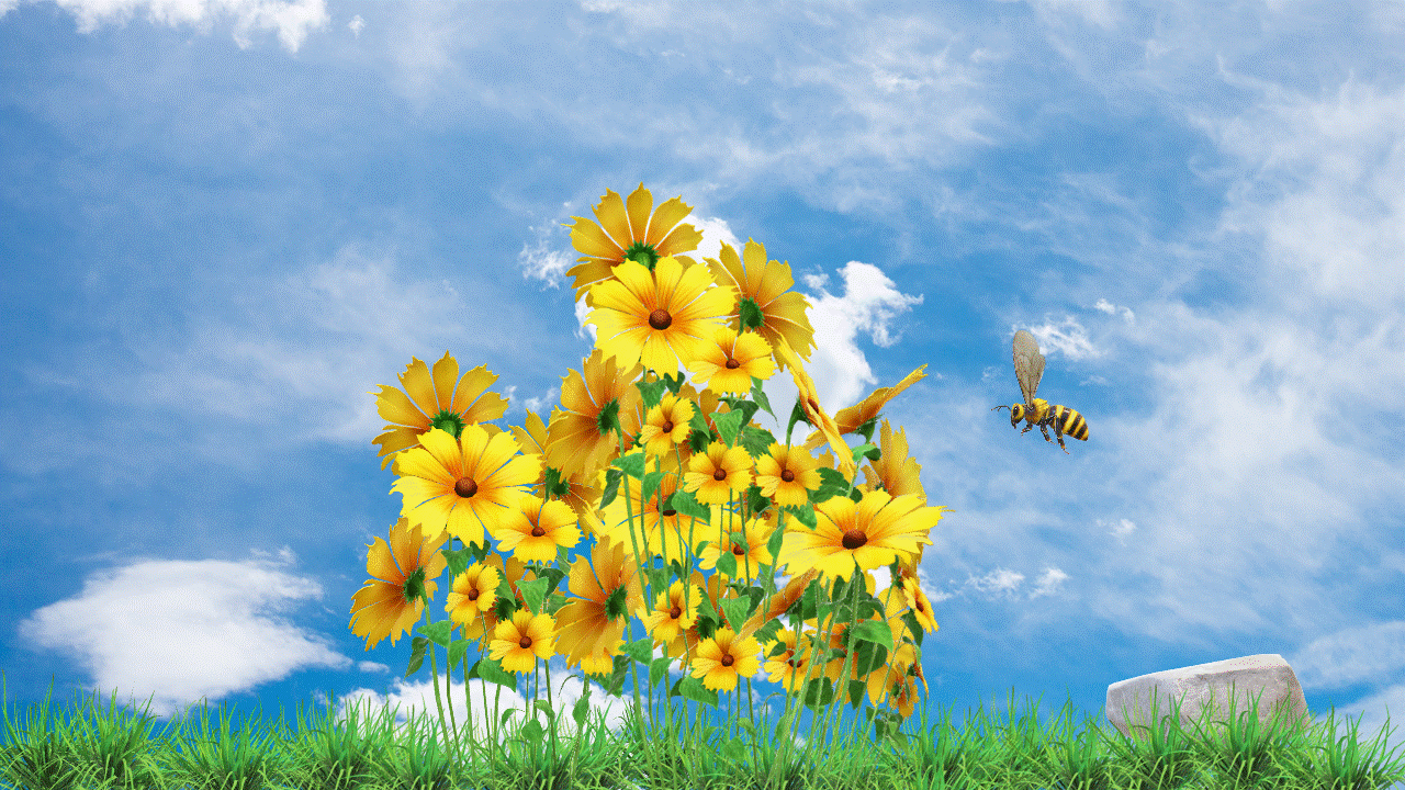 Animated Graphic 1.gif