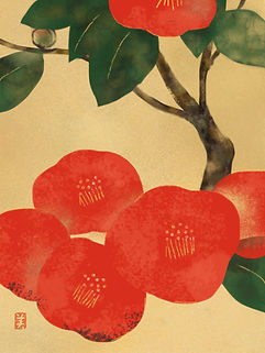 Hidetoshi Mito drawing 美登英利 ドローイング mitografico 椿 camellia