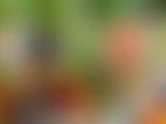 Lifli Gıdalar Nelerdir? En Çok Lif İçeren Besinler Hangileridir?