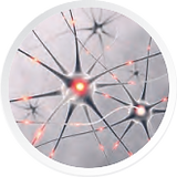 prensip-icon2.png