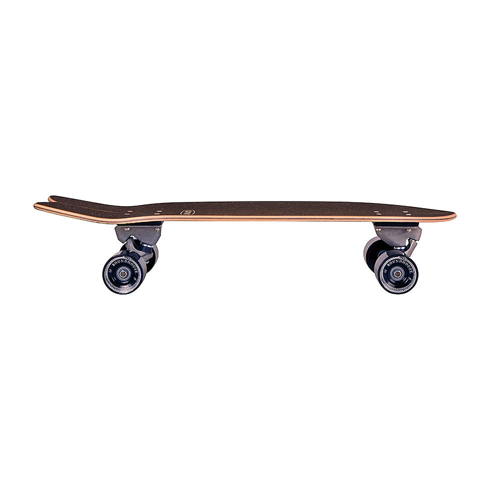 Miniatura: Carver Swallow 29.5