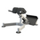 Miniatura: Banco para Lombar LB 2100 Evolution Fitness