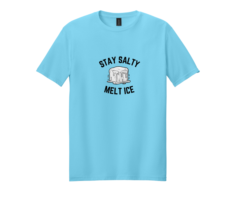 Thumbnail: Stay Salty Melt ICE Gildan Soft Style T