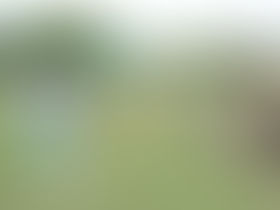 PET LETRAS PARTICIPA DA "3ª BLITZ INFANTIL" PROMOVIDA PELA RÁDIO GRANDE FM