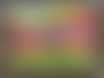 Tony Rowan will use your money wisely