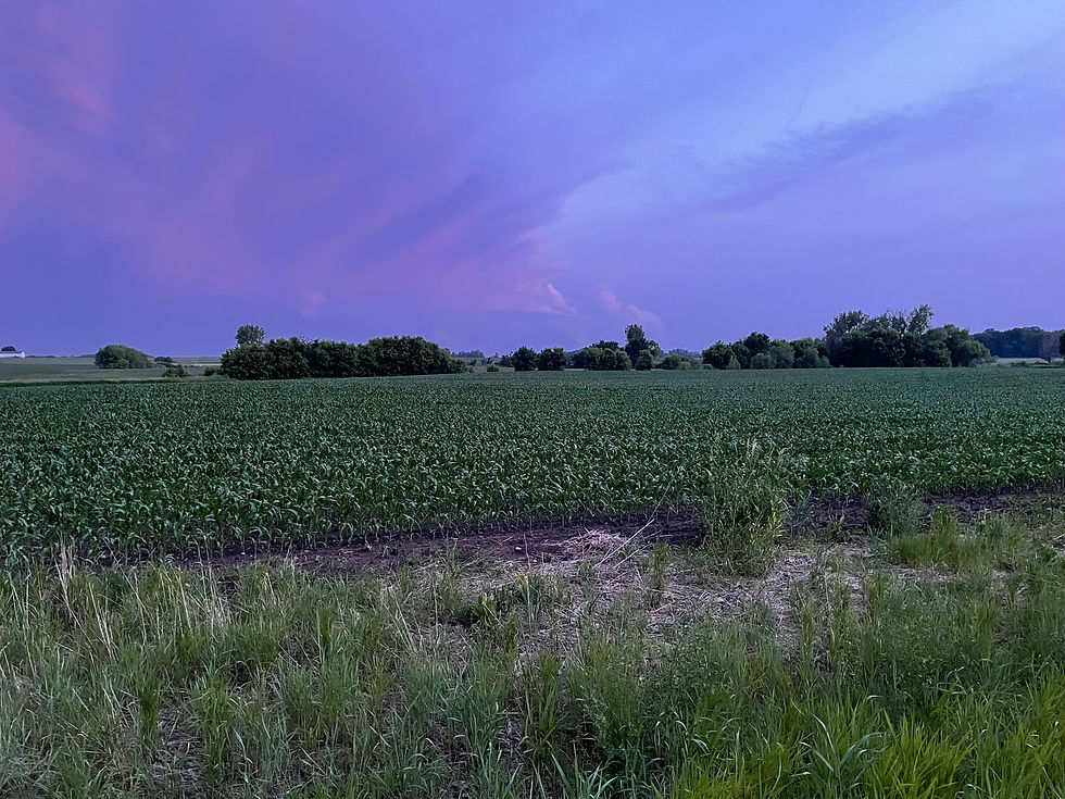 Vote For Tony Rowan on March 10!