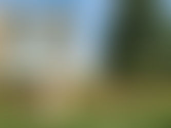 Common sense leadership is what we want