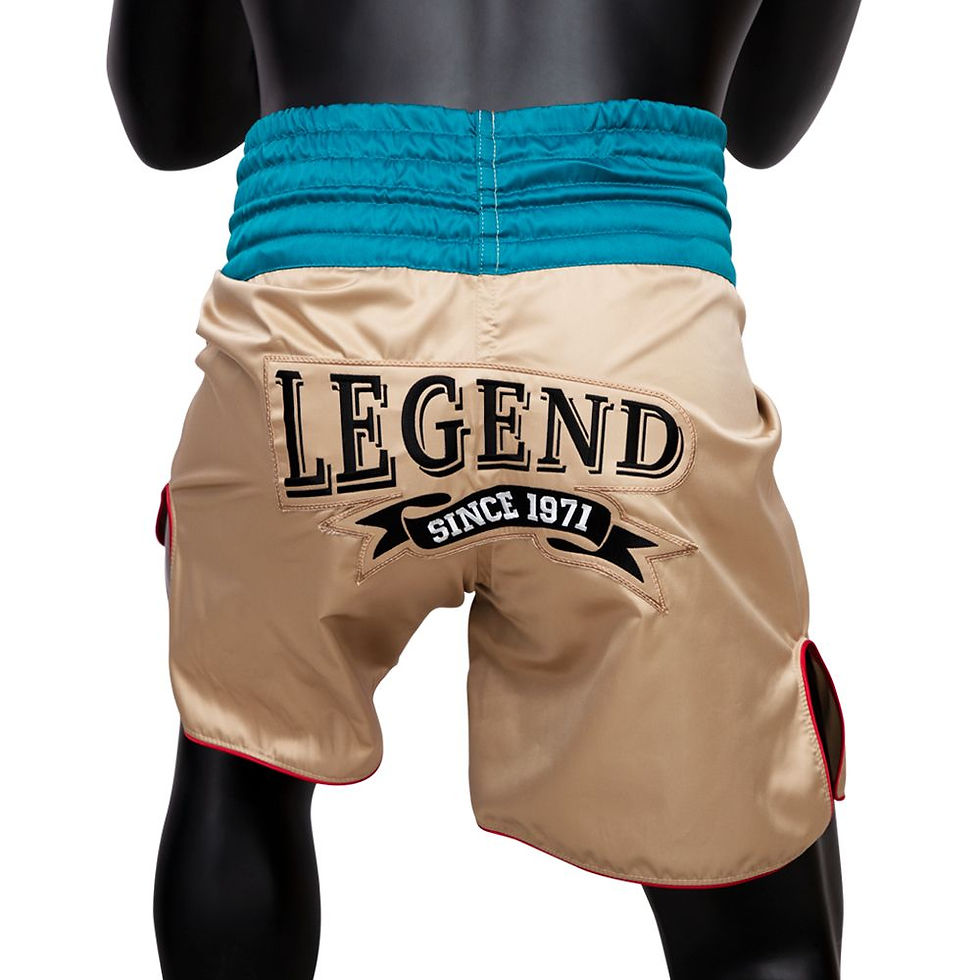Thumbnail: Fairtex Boxing Trunks - BT2010 "Vintage"