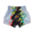 Fairtex MuayThai Shorts - BS1909 "Satoru Collection"