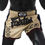 Thumbnail: Fairtex Muay Thai Shorts - "Tribal"