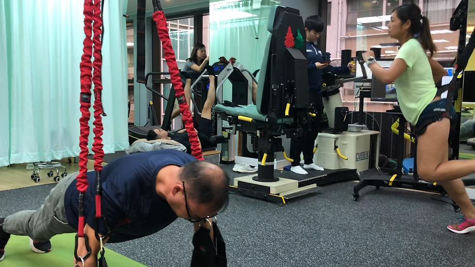 Suspension therapy