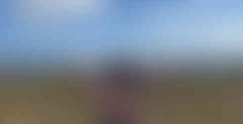 kobieta stojąca tyłem trzyma w rękach islandzki sweter, ręce ma rozpostarte