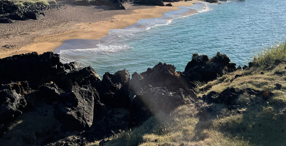 Plaża ze złotym piaskiem i czarnymi skałami na Islandii