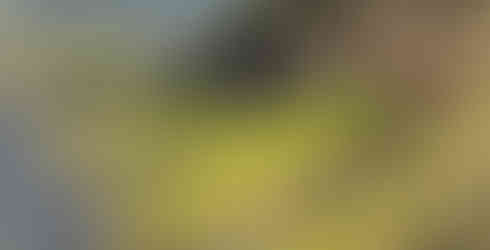 Widok na zieloną dolinę ze skałami i górami na Islandii